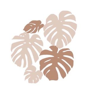 Meet your Posher, Viana